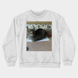 What You Mean It’s Not For Sits Crewneck Sweatshirt